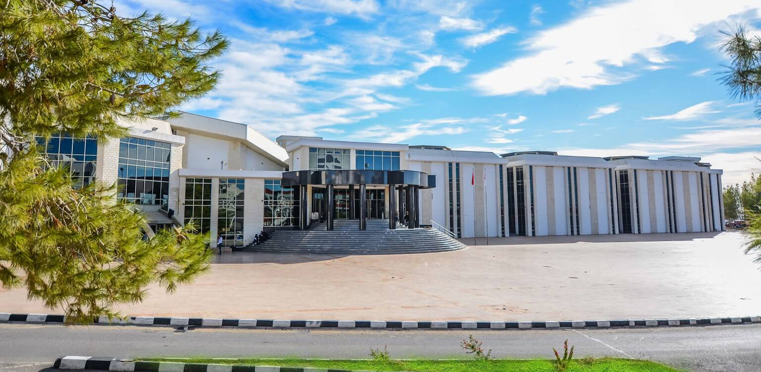 جامعة الشرق الادنى
