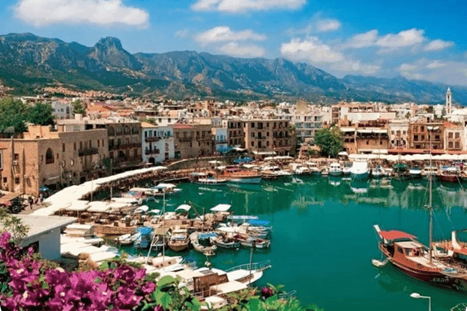 صورة5
