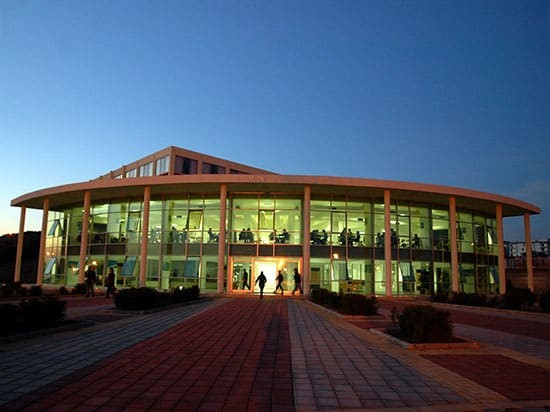 صورة2